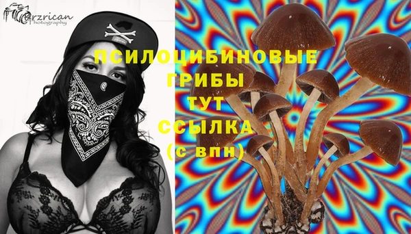 крисы Алексеевка