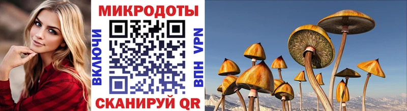 Псилоцибиновые грибы ЛСД Катайск