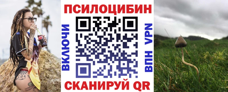 Галлюциногенные грибы Magic Shrooms  Катайск 